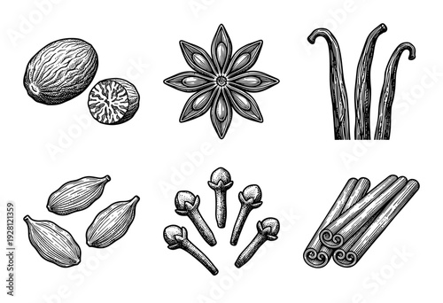Vintage engraving of assorted aromatic spices including cinnamon, star anise, cloves, cardamom pods, vanilla beans, and nutmeg in a detailed line art style.