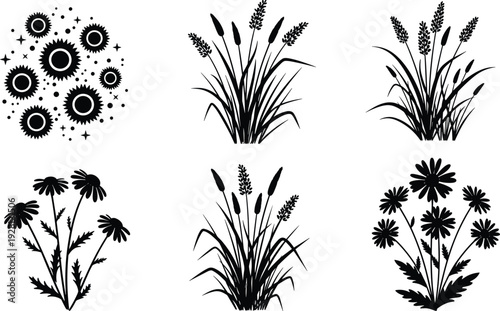 Black nature silhouette collection featuring chamomile flowers sunflowers wild meadow grass wheat stalks and botanical garden floral elements isolated on white background