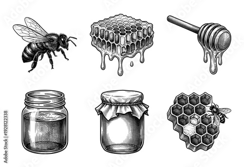 Vintage engraving style honey production collection featuring honeybees, dripping honeycomb, wooden dipper, and glass jars.