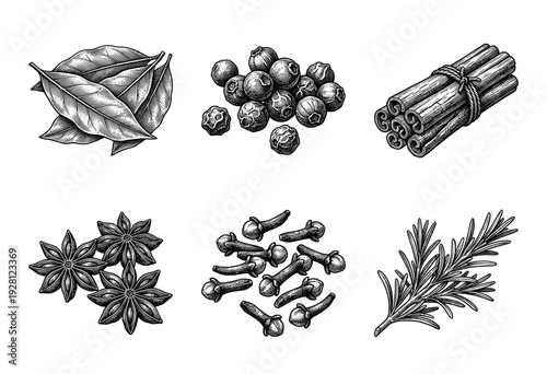 Vintage engraving of culinary spices and herbs collection including cinnamon sticks, star anise, cloves, peppercorns, bay leaves, and rosemary branch.