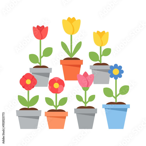 Colorful Potted Flowers Blooming in Spring Garden