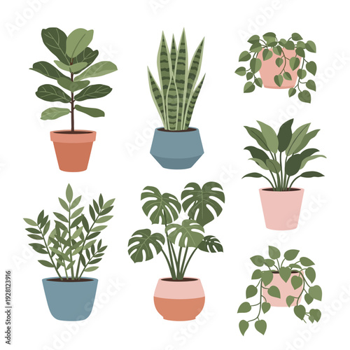 Collection of Potted Houseplants: Fiddle Leaf Fig, Snake Plant, Monstera, Pothos