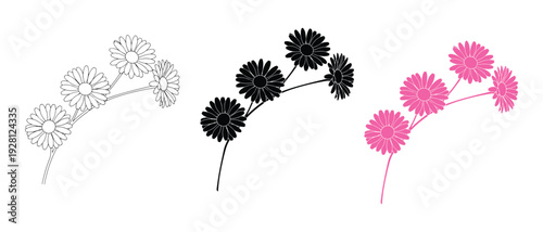 Three colorful daisies with stems and leaves on white background