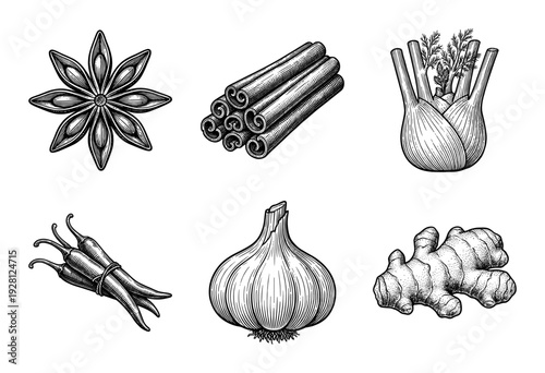 Set of hand drawn spice and herb illustrations featuring star anise cinnamon sticks fennel bulb chili peppers garlic and ginger root in a vintage woodcut style.