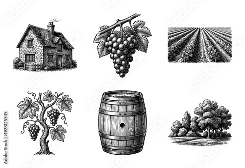 Vintage woodcut style vineyard collection featuring a stone cottage grapes wine barrel and orchard landscapes