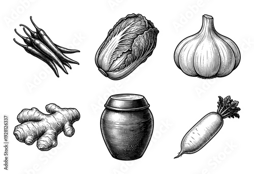 Vintage woodcut style illustration of traditional kimchi ingredients featuring napa cabbage, chili peppers, garlic, ginger, daikon radish, and a ceramic fermentation jar.