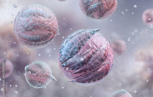 Cryptosporidium parvum oocysts: Encapsulated sporozoites in a protective shell. Protozoan pathogen parasite life cycle in contaminated water. Waterborne diseases, parasitic infection, gastroenterology