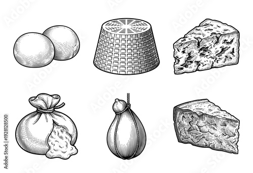 Collection of hand drawn cheese varieties in vintage woodcut style including mozzarella ricotta gorgonzola burrata caciocavallo and parmesan