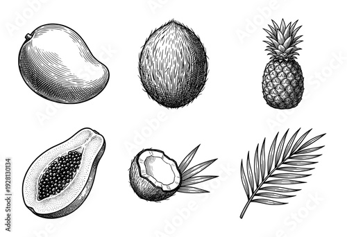 Vintage engraving style collection of tropical fruits and palm leaf featuring mango, coconut, pineapple, and papaya illustrations.