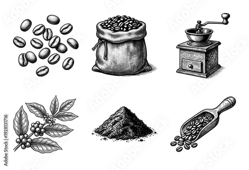 Vintage engraving style coffee production set featuring roasted beans, wooden grinder, burlap sack, botanical branch, ground powder, and scoop