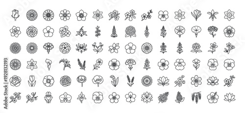 Collection of various delicate line art floral icons and symbols for design