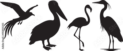  Coastal Bird Silhouette Collection Featuring Seagull, Pelican, Flamingo and Heron