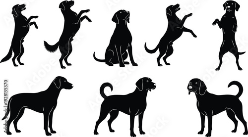 Collection of dog silhouettes featuring Labradors and Beagles standing sitting and jumping isolated on white background for pet themed design projects