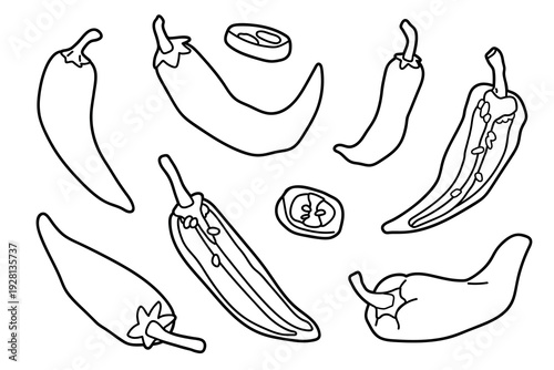 Set of chilli pepers in different views, black and white outline illustration. Hand drawn capsicum whole and sliced, isolated on light background for colouring or coloring pages, menu or food design.