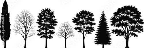 Collection of various tree silhouettes including pine cypress and deciduous species isolated on white background for nature and landscape design
