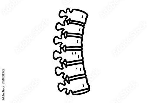 Stylized black and white drawing of five stacked vertebrae from the spine