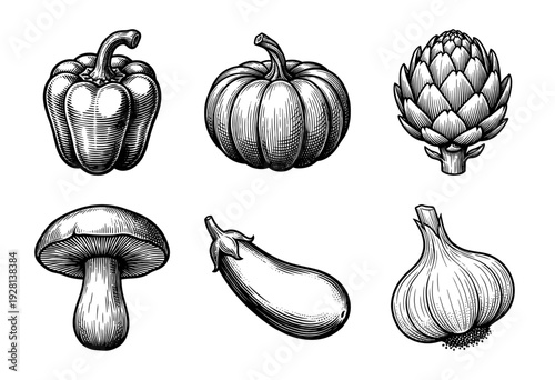 Vintage woodcut style vegetable collection featuring bell pepper, pumpkin, artichoke, mushroom, eggplant, and garlic bulb on a clean white field.