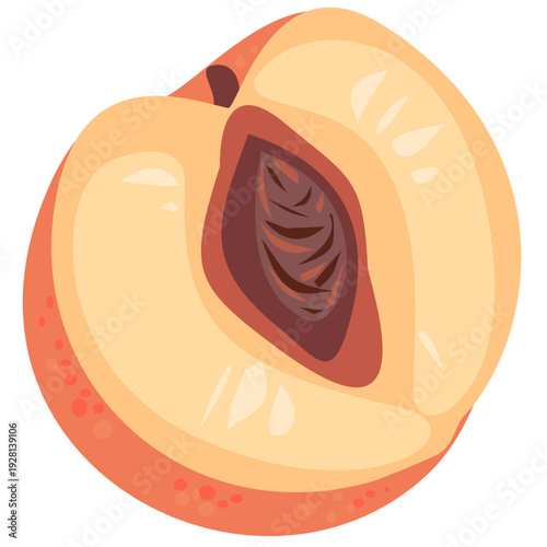 Half of ripe peach with pit isolated on white background, fresh juicy fruit illustration, summer food clipart