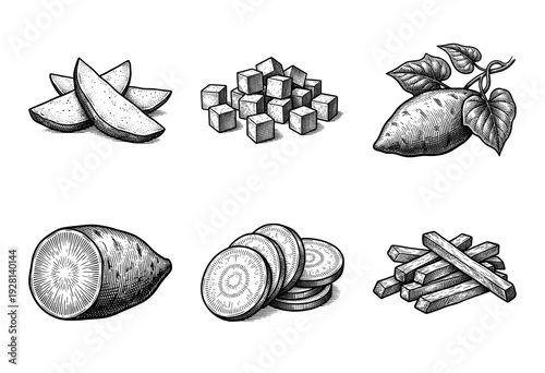 Vintage woodcut style illustration of sweet potato set featuring whole tuber, slices, wedges, cubes, and fries