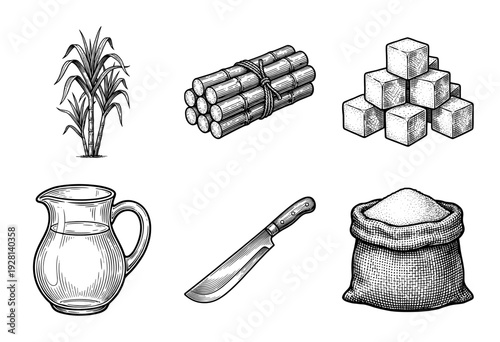 Vintage engraving style collection of sugarcane stalks, refined white sugar cubes, a sack of granulated sugar, fresh juice pitcher, and a harvest machete.