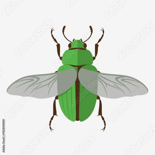 Black Beetle Silhouette Icon – Insect Pest Bug Vector Illustration
