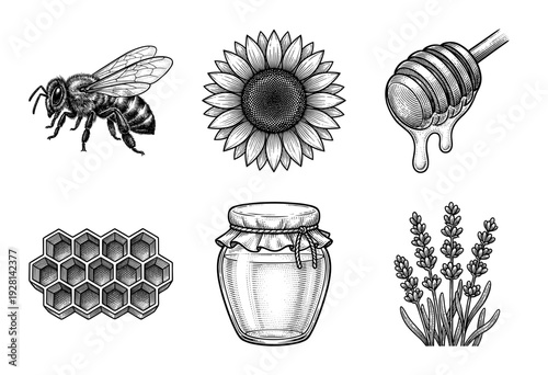 A collection of vintage hand drawn bee and honey production illustrations featuring a sunflower lavender honey jar honeycomb and wooden dipper in an engraving style.