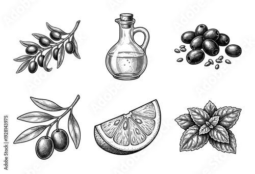 Vintage engraving style collection of olive branches, glass oil bottle, black olives, lemon slice, and fresh mint leaves.
