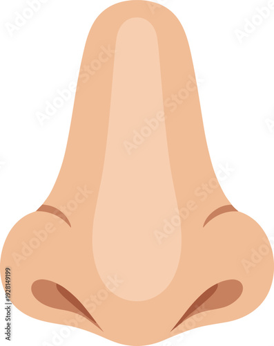 Detailed realistic human nose vector illustration front view textured skin premium anatomy art isolated on white