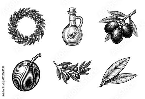 Vintage hand drawn olive branch collection featuring engraved illustrations of oil bottles, wreaths, and ripe olives in a classic woodcut etching style.
