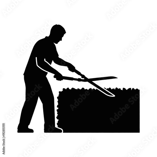 Man Cutting Hedge with Hedge Trimmer.