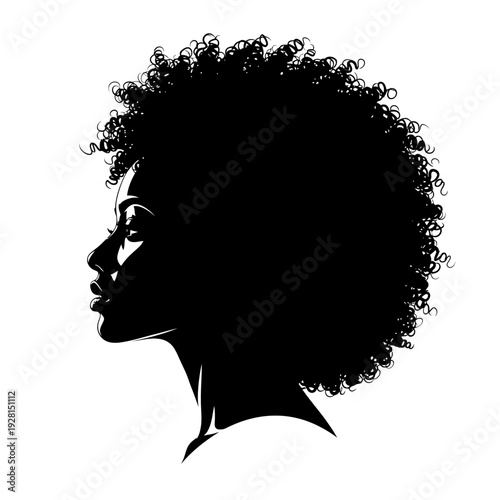 Elegant silhouette of a woman with natural afro hair, profile view.