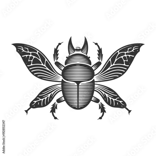 Intricately designed beetle illustration perfect for graphic design and wildlife themes