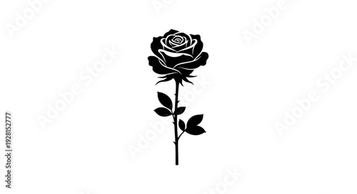Black and white illustration of a single rose with leaves.
