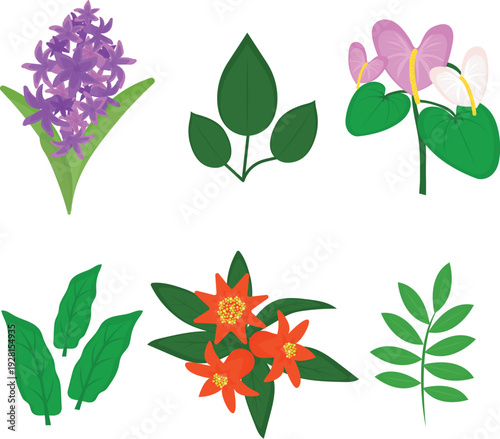 Nature theme floral bundle including water lily and pansy illustrations vector