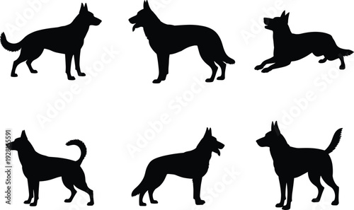 German Shepherd dog silhouette set, standing and sitting poses isolated black canine vector illustration collection