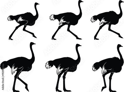 Ostrich silhouette set, running and standing African bird isolated black wildlife vector illustration collection