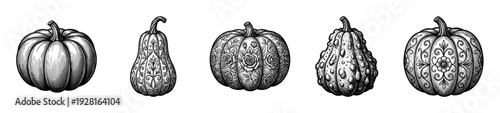 Set of decorative etched pumpkins and gourds featuring floral engravings and textured skins in a vintage hand drawn woodcut style