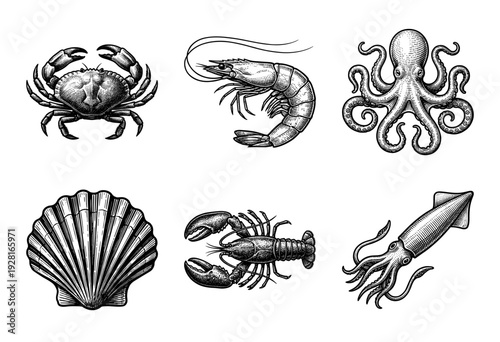 Set of vintage engraved seafood illustrations featuring crab shrimp octopus scallop lobster and squid in black and white woodcut style.