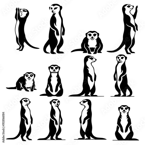 Meerkat Silhouette Vector Set - Different Standing and Alert Poses