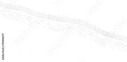 Cross section of layered soil strata with grass texture at layers