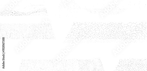Abstract grayscale cellular patterns and granular textures on white background