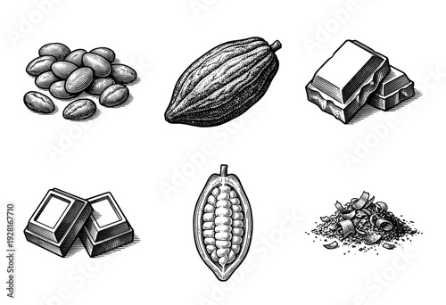 Vintage engraving collection of cocoa pods, beans, chocolate bars, and shavings in a hand-drawn monochrome woodcut style.
