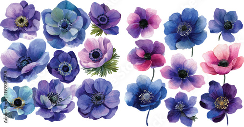 blue and purple flowers