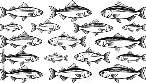 Fish icon set