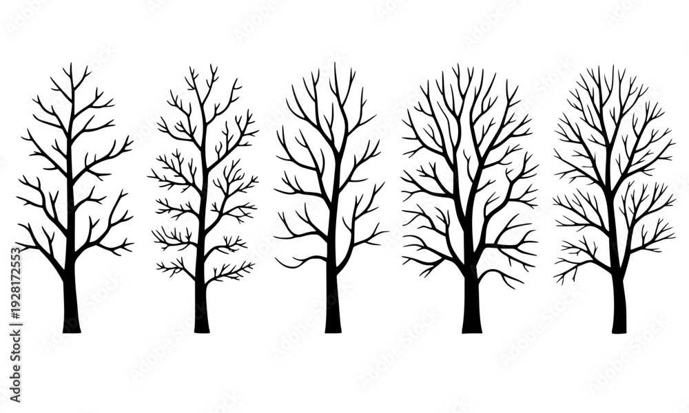 Fototapeta premium Set of black silhouette bare trees without leaves in various shapes, perfect for autumn, winter, and Halloween themed nature, forest, and botanical design projects