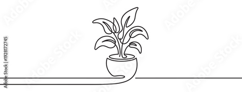 Houseplant in a pot illustrated with a single continuous black line in a minimalist, modern, and elegant style, creating a simple and clean botanical graphic element