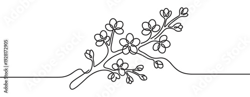 Continuous single line drawing of a flowering cherry blossom branch shows delicate petals and buds in an elegant, minimalist, and modern artistic illustration style