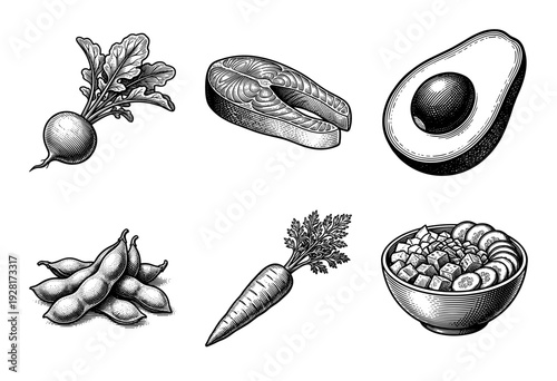 Set of healthy food ingredients and salad bowl in vintage woodcut engraving style including salmon avocado and vegetables.