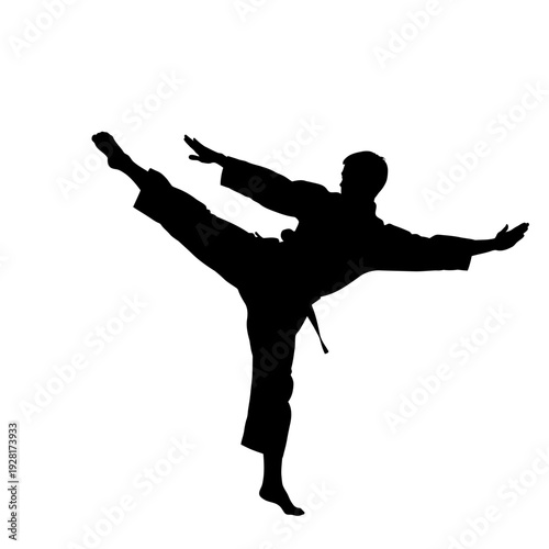 Silhouette of a martial artist performing a dynamic kick in training.