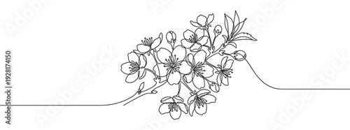 Continuous one-line drawing of a cherry blossom branch with delicate flowers and buds in a minimalist black and white style, creating an elegant and modern botanical illustration